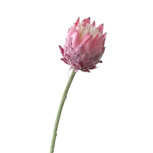 Flores Artificiales de Protea Yoshinobu, Tallo Individual, Arreglo Floral de Seda de Poliéster para Decoración del Hogar y Bodas, Estilo Nórdico - Product Image 5