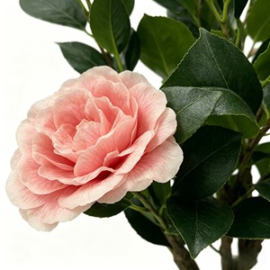 Artificial Camellia <b>Tree</b> Faux Camellia <b>Tree</b> Camellia <b>Tree</b> Potted - Product Image 6