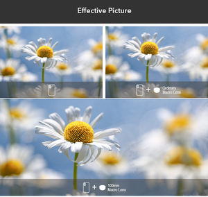 Objectif <span class=keywords><strong>macro</strong></span> <span class=keywords><strong>Apexel</strong></span> 100 mm pour téléphone portable, clip d'objectif, objectifs parfaits pour les ongles, les bijoux, la beauté, les lèvres - Product Image 3