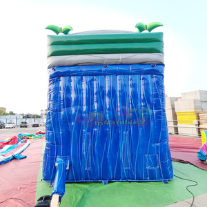 บ้านลมเป่าลมธีมทรอปิคอลสำหรับเด็ก พร้อมสไลเดอร์น้ำเป่าลมเชิงพาณิชย์ - Product Image 4