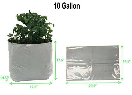 10แกลลอน