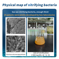 Probiotiques nitrifiants aquatiques Élimination rapide de l'ammoniac, de l'azote et des nitrites pour les aquariums et les réservoirs de poissons avec des nitrosomonas