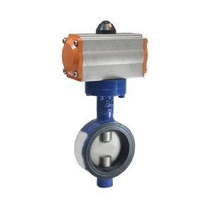 Performances élevées ANSI 300 10 pouces - Product Image 5