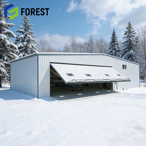 Hangar de Acero de Gran Envergadura a Precio de Fábrica, Resistente a Terremotos, para Construcción de Aeropuertos, Directo de Fábrica - Product Image 1