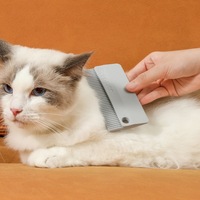 Brosse double face en TPR pour enlever les poils d'animaux, grattoir anti-poils pour canapé, tapis, chaise longue, chat, chien, vente en gros