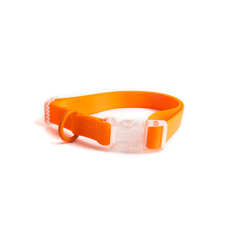 Orange collar