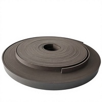 Bande de guidage en PTFE gaufré sur mesure, résistante à l'usure, pour joint de tige de piston hydraulique