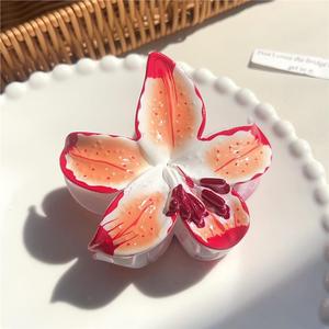 Pinza de Pelo con Flor de Plumeria Hawaiana de Acrílico y Plástico, Accesorio para el Cabello de Uso Diario para Mujeres - Product Image 6