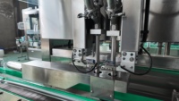 Ligne de production de machines de remplissage de pâte de tomate entièrement automatiques, machine de remplissage à deux têtes avec suivi des emballages