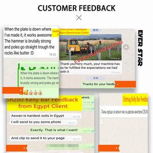 Pilonneuse à essence portable efficace pour les clôtures de projets agricoles - Product Image 5