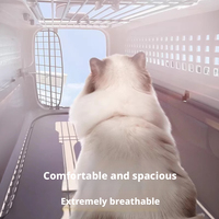 Cage de transport pour animaux de compagnie, pliable, en plastique rigide, portable, pour chat et chien, pour les voyages en voiture, en plein air, conforme à la norme IATA, avec bol, 3 tailles