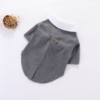 Nouveaux vêtements pour animaux de compagnie, costume de mariage pour chien et chat, automne-hiver