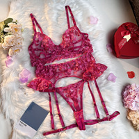 Ensemble de lingerie sexy transparente pour femmes OEM, soutien-gorge et culotte brodés, jarretelles sexy, sous-vêtements, soutien-gorge, culottes