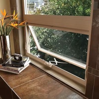 Fenêtre à auvent en aluminium NUOXIN USA avec moustiquaire en acier inoxydable, rupture de pont thermique, double vitrage insonorisé, garantie 5 ans pour la maison