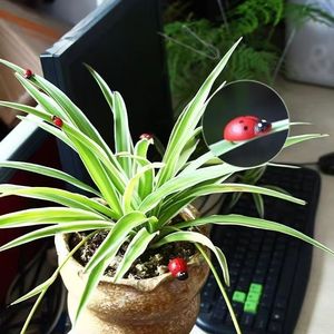 <span class=keywords><strong>Mini</strong></span>-coccinelles en bois avec autocollants en éponge pour la décoration de micro-paysages, <span class=keywords><strong>mini</strong></span>-<span class=keywords><strong>aimants</strong></span> de réfrigérateur, décorations pour <span class=keywords><strong>scrapbooking</strong></span> - Product Image 5