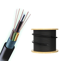 Cable de Fibra Óptica de 4 Hilos, Blindado para Exteriores, GYTS, con Cinta de Acero Corrugada, G652D, Monomodo, para Entierro Directo en Ducto, en Rollo