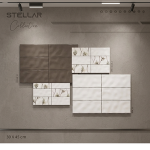 Diseño de interiores, azulejos de cerámica de pared de ladrillo refractario, 300x450mm, acabado brillante, resistente al agua, resistente al desgaste, azulejos de baño de salón, primera opción - Product Image 1