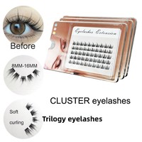 Auto-greffage Cluster Segment Diy Lash Extension Vente en gros Pré-colle Cat Eye Lashes Lash Extension Wispy Faux Cils