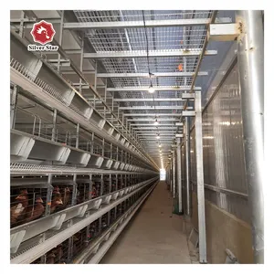 Multi-layer Hot-dip Galvanizing Can Be Customized To Make Chicken Cages