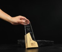 Haute Qualité Personnalisé K9 Cristal Bois Trophées Médailles Plaques Salon Prix Sports et Jeu Honneurs