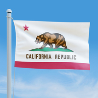 Vente en gros 3x5FT 100% polyester tissu personnalisé de qualité supérieure impression numérique drapeaux californiens avec 2 œillets métalliques