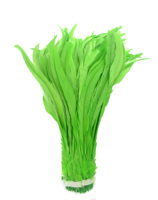 Plume de coq pour artisanat, bricolage, accessoire de costume, chapeau, scène, fête, carnaval, ornement de vacances, décoration de mariage