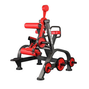 Grande réduction sur les équipements de fitness de salle de sport, entraînement musculaire, plaque de poids pour <span class=keywords><strong>hyperextension</strong></span> inversée/gluteaux en vente - Product Image 1