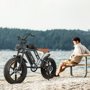 Vélo électrique JANSNO X70 à double batterie 48V 37AH, Fatbike, Vélo de ville, X70 Electr Cycles, X70 EU FAT E-bike 250W, Vélo électrique X70 - Product Image 6