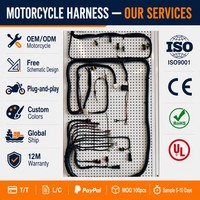 Harnais de câblage automobile personnalisé OEM ODM, assemblage de câbles moteur ISO9001