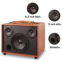 Altavoces bluetooth De Alta Calidad De Audio Powered Speakers Professional Active Wooden Karaoke Speaker with Mic and bluetooth