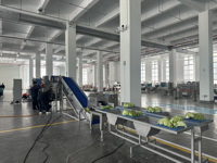 Professionele productielijn voor automatische verwerking van fruit, groenten, aardappelen, wortelen en kool voor voedingsmiddelenfabrieken