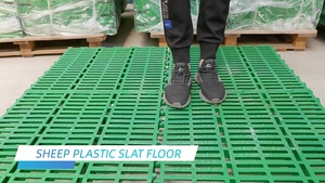 Pavimento in Plastica a Doghe Rinforzato 600*600mm in Materiale PP per Allevamento di Capre/Pecore Pavimentazione in Plastica per Capre - Product Image 2