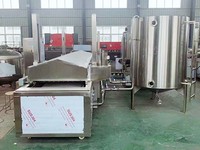 Roestvrijstalen Industriële Automatische Voedselgasfrituurmachine Batch Friteuses Voor Snacks Bananenchips Chips Frituren