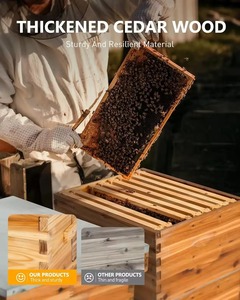 Nueva Caja de Colmena para Apicultura - Colmena Langstroth de 8 Cuadros Sin Ensamblar de Abeto Chino, Suministros para la Fabricación de Colmenas de Abejas - Product Image 6