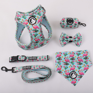 Okeypets Klett verschlüsse Hunde geschirr Leine Sicherheits gurt Neopren Polyester Step in Cute Dog Harness Set - Product Image 5
