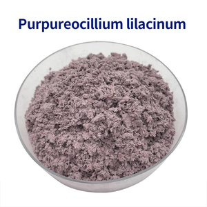 Purpureocillium Lilacinum (Paecilomyces Lilacinus) 100 milliards d'UFC/g Nématodes de la maladie des racines de tomate BIO Nématicide en poudre PD20132416 - Product Image 1