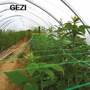 Tự làm nhà kính vườn nông nghiệp vườn Côn Trùng-Proof thời tiết Nylon UV kháng hỗ trợ thực vật leo lưới mắt cáo Crop Net - Product Image 3