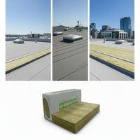 Panneau en laine de roche ASTM E84 60 kg/m³ 40 mm - Panneau acoustique ignifuge léger A1, facile à installer pour plafond et mur
