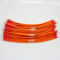 Cable de alimentación de cobre sin halógenos de 25 mm² y 12 V, personalizado BRAVE, para baterías de vehículos de nueva energía, arnés de cableado ISO9001 para energía automotriz