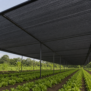 Sun Shade <strong>Net</strong> Heavy Duty HDPE 30%-95% Agricultural UV Protection Black Shading <strong>Net</strong> <strong>Garden</strong> Agriculture Greenhouse Shade <strong>Mesh</strong> - Product Image 1