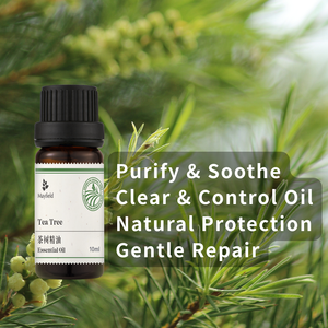 Aceite Esencial <span class=keywords><strong>de</strong></span> Árbol <span class=keywords><strong>de</strong></span> Té Orgánico Mayfield 100% Puro, Sin Diluir, Destilado al Vapor, <span class=keywords><strong>para</strong></span> Hongos en las Uñas <span class=keywords><strong>de</strong></span> los Pies, Picazón en <span class=keywords><strong>el</strong></span> Cuero Cabelludo, Acné y Piel - Product Image 4