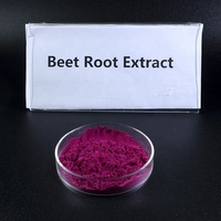 Usine de sucre naturel Beta Vulgaris extrait de racine de betterave rouge poudre de jus de betterave