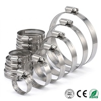 Abrazadera de Manguera con Engranaje Helicoidal de Acero Inoxidable 201, Estilo Americano, Tornillo Hexagonal Ranurado, para Mantenimiento Mecánico, Conexión de Líneas de Combustible SUS