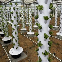 Système hydroponique vertical multicouche Tour hydroponique pour la culture de légumes-feuilles Jardin vertical domestique