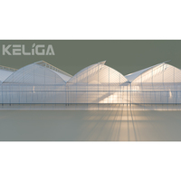 Film Serre Tunnel Concombre Tomate Kit de Serre en Plastique Serres pour l'Agriculture