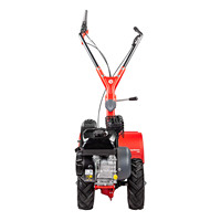 Cultivateur EUROSYSTEMS Rtt2, moteur Briggs & Stratton OHV, motoculteur 50 cm, outils de jardinage, cultivateur agricole pour ferme et jardin