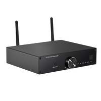 Ev sineması amplifikatör ve alıcıları için Hi-Fi WiFi profesyonel Stereo ses amplifikatörü