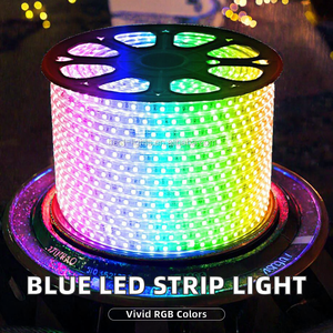 Shenzhen buywin BW-SMD2835-BLUE IP67 RGB กันน้ำ100M สำหรับไฟเส้น LED 110V/220V ไฟภูมิทัศน์ - Product Image 2