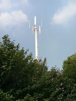Éolienne à axe vertical 380V 50kW, générateur éolien 30kW, vitesse de survie du vent 85m/s