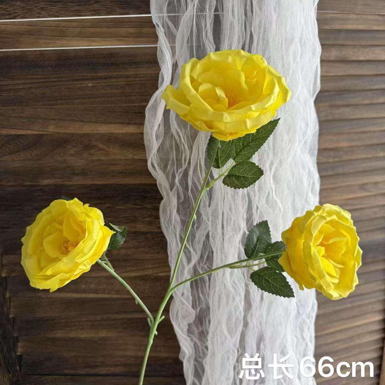 ออสตินสามหัวสีเหลือง